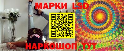 стафф Донецк