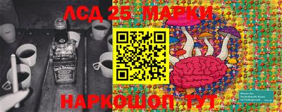 стафф Донецк