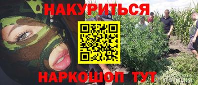 стафф Донецк