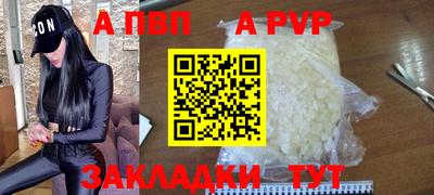 стафф Донецк