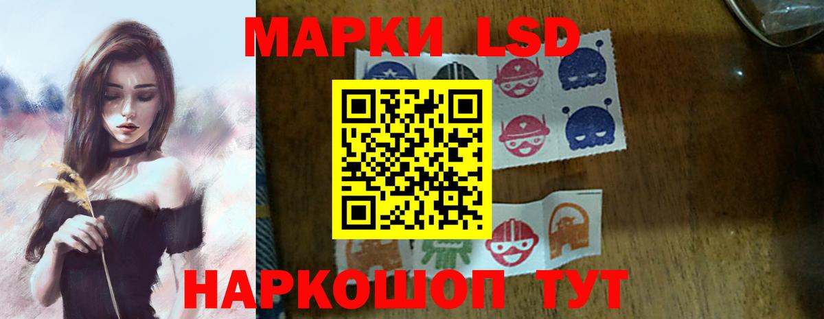 Гашиш Курчалой